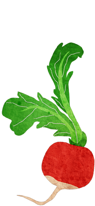 radish